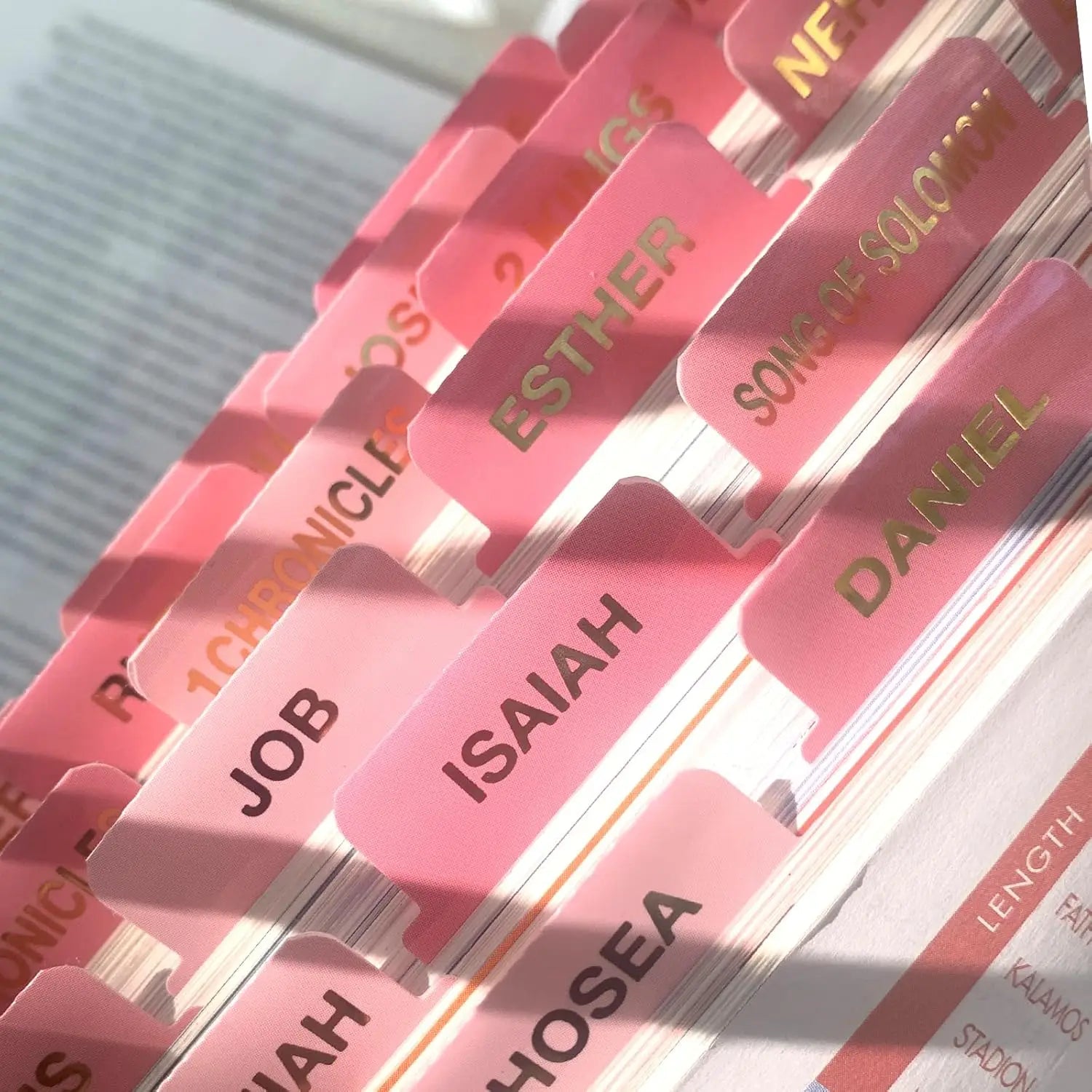 Bible Tabs Gold Print