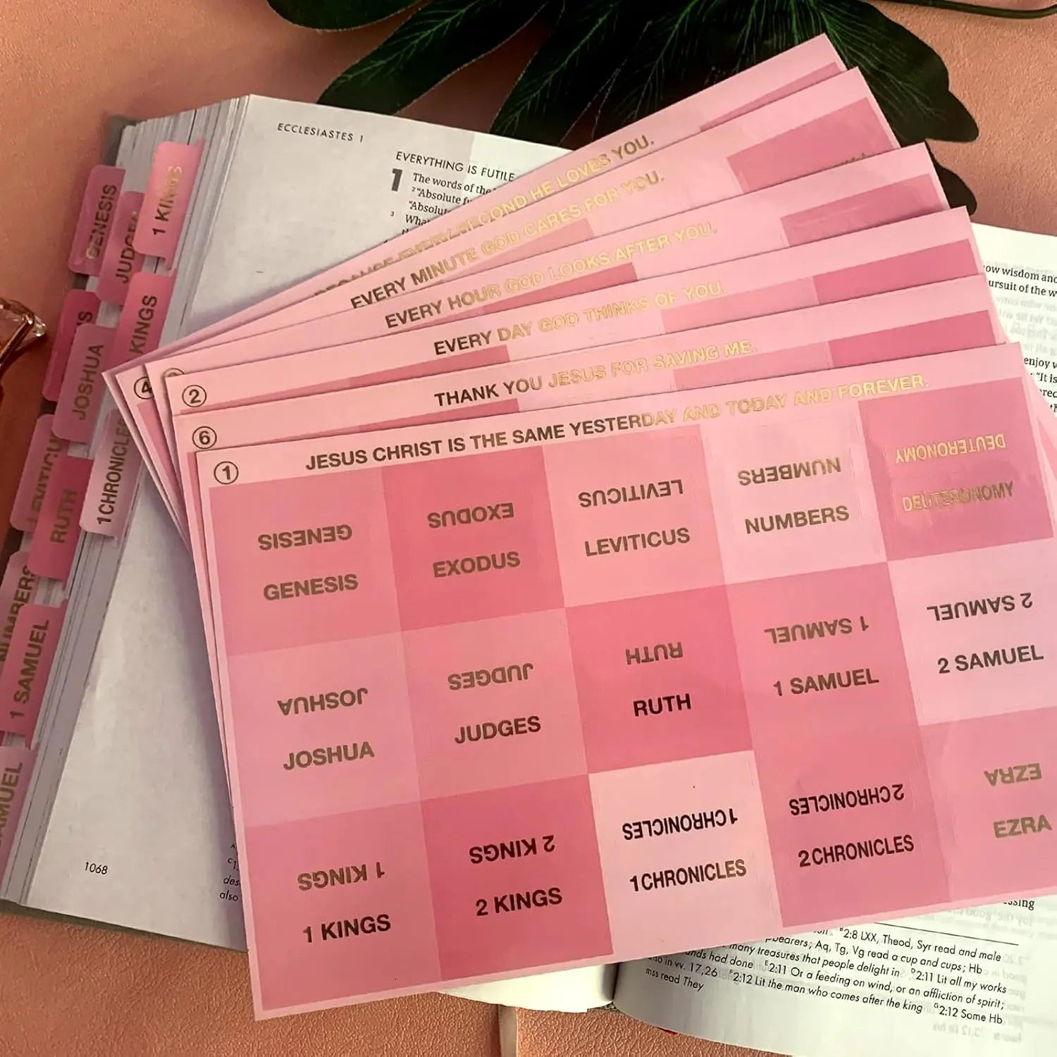 Pink Bible Tabs Large Print Laminated Bible Tabs