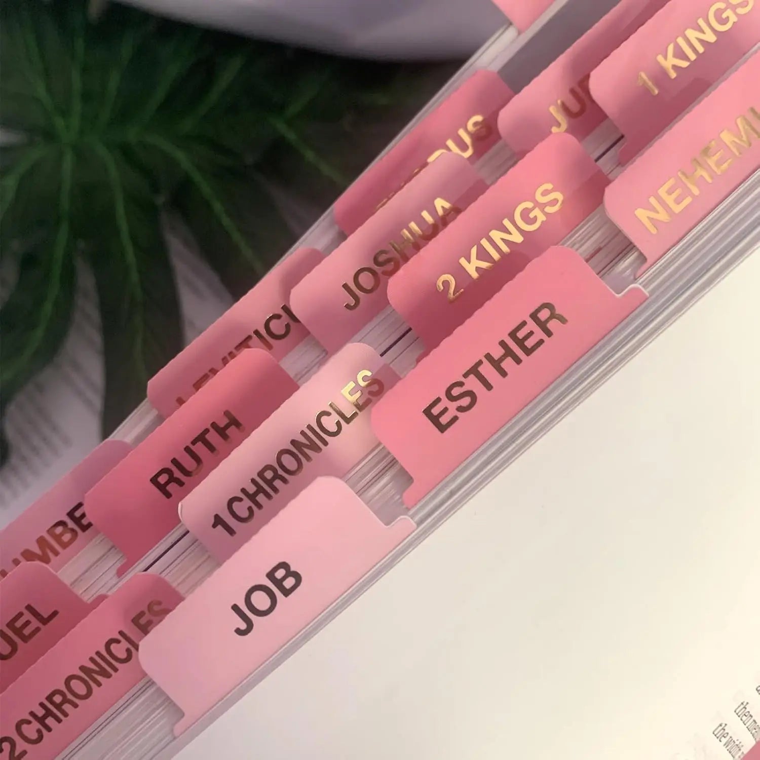 Pink Bible Tabs Large Print Laminated Bible Tabs