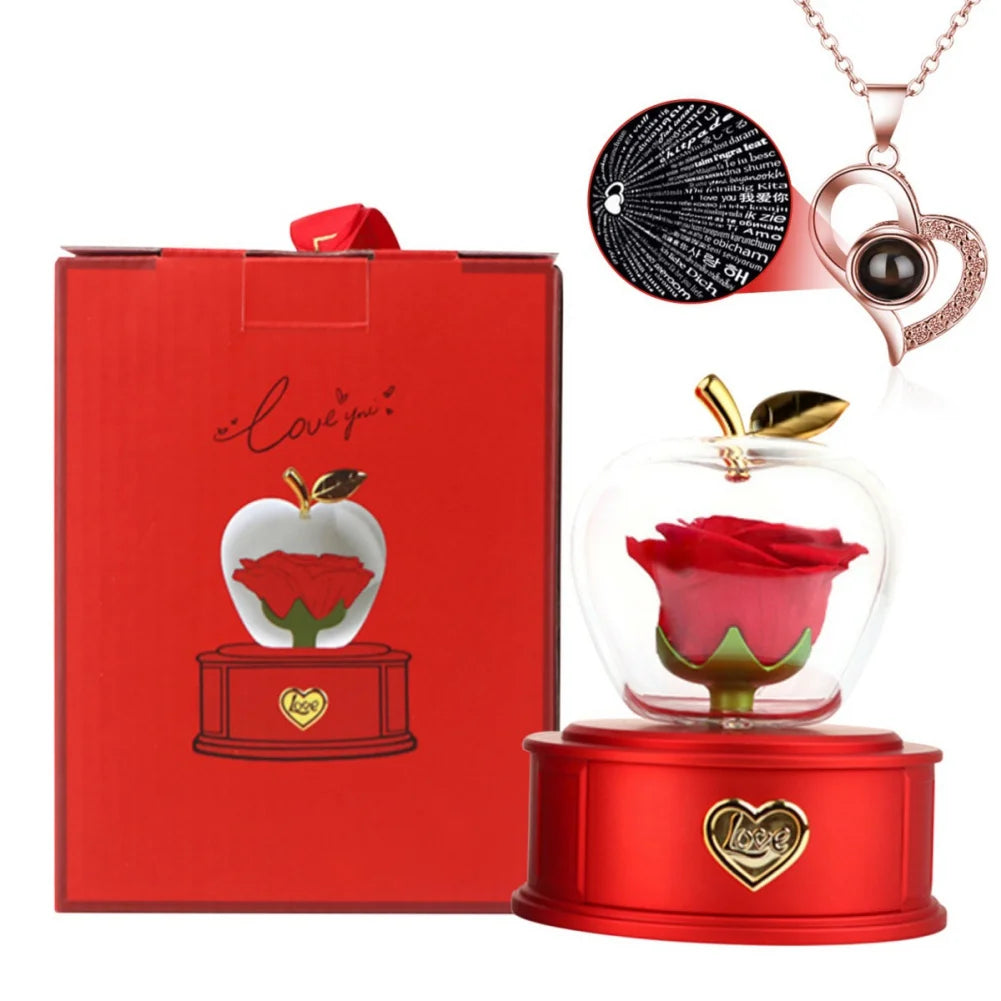Plastic Preserved Rose with Necklace Eternal Rose Gifts