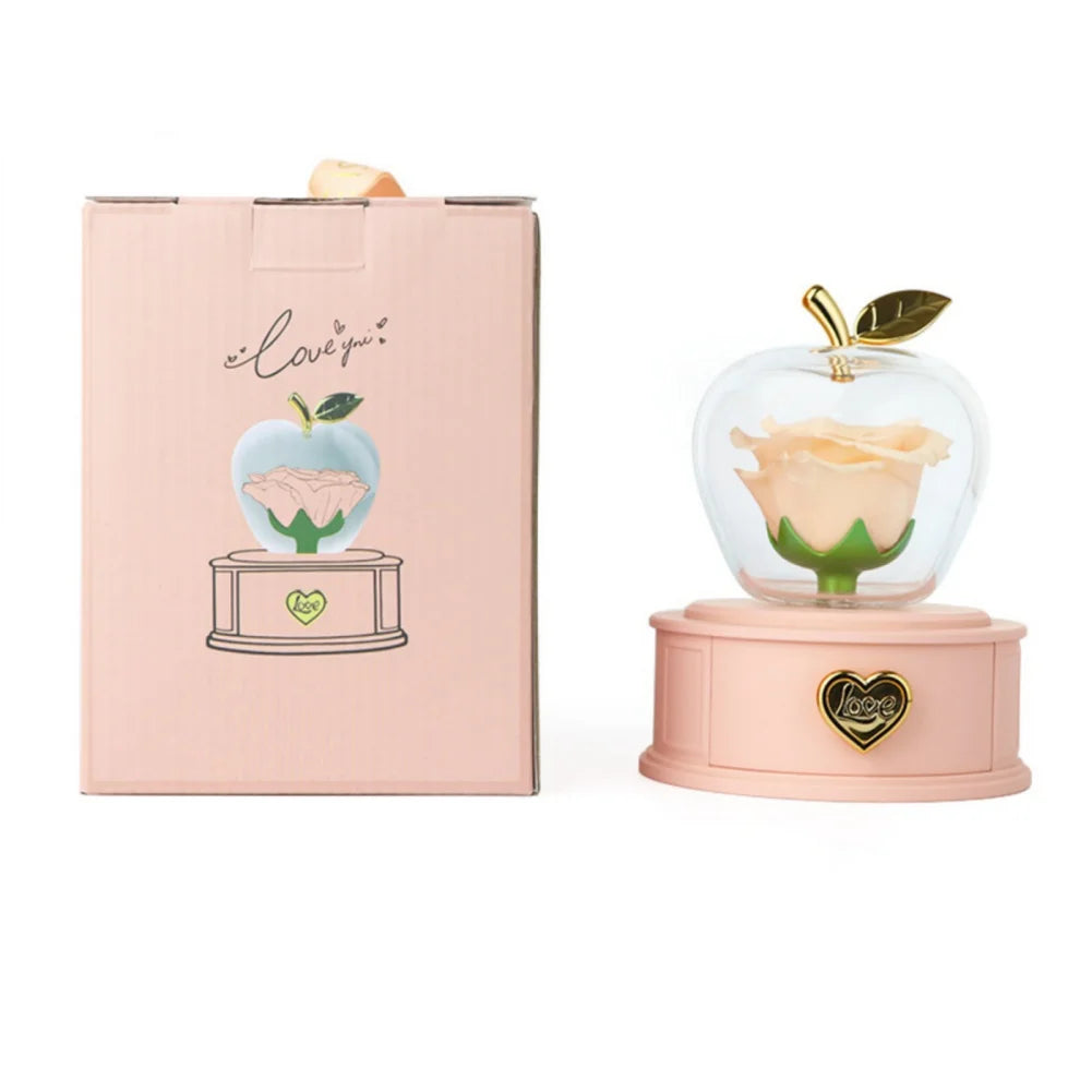 Plastic Preserved Rose with Necklace Eternal Rose Gifts